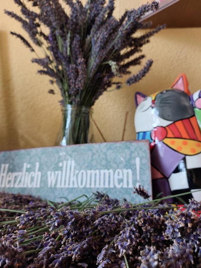Hotel Zum Poppschen Gut Ольбернхау Экстерьер фото